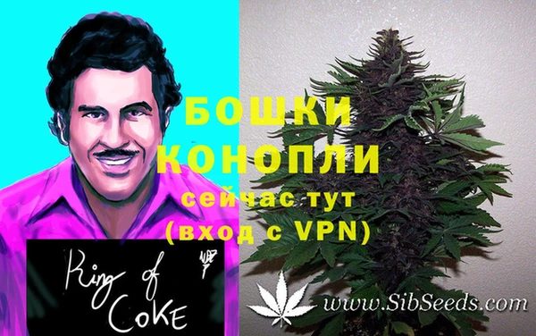 кокс Баксан