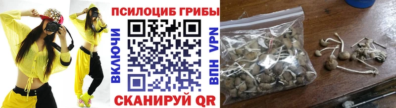 Галлюциногенные грибы Cubensis  Барыш 